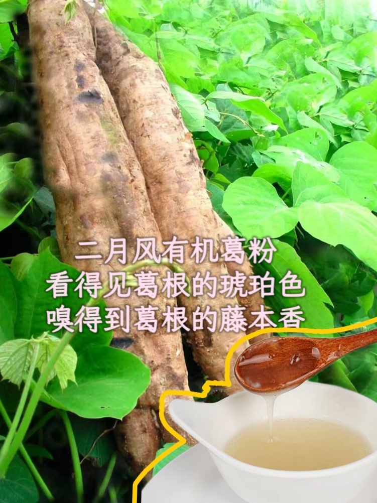 二月風有機葛粉，看得見葛根的琥珀色，嗅得到葛根的藤本香_副本.jpg