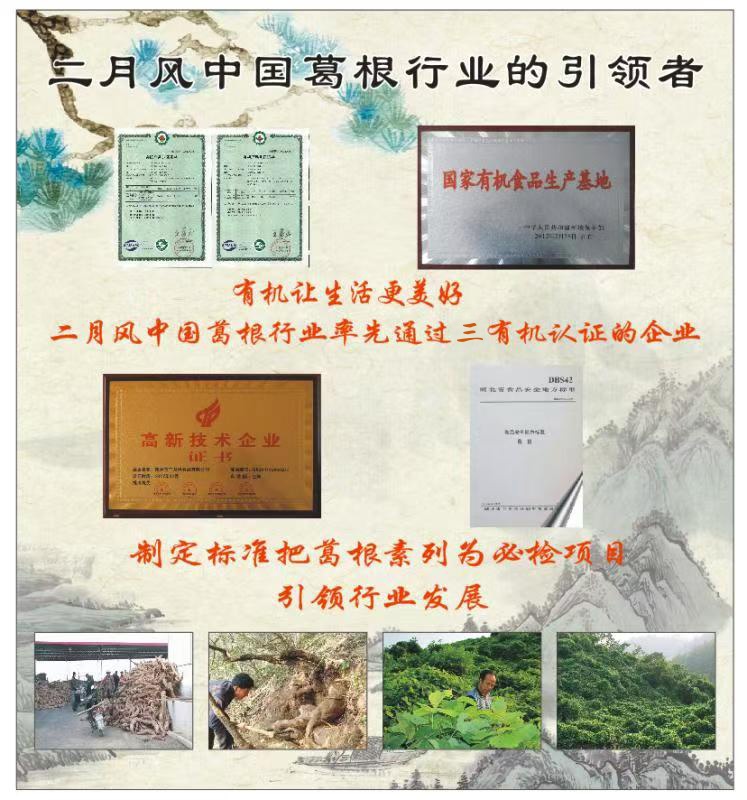 二月風(fēng)中國(guó)葛根行業(yè)的引領(lǐng)者_(dá)副本.jpg