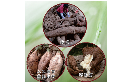 買葛粉是買野生的好？還是野生有機的好？