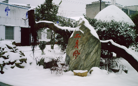 二月風(fēng)致老友：一碗葛根粉的牽掛，農(nóng)博會上的重逢之約二月風(fēng)盼老友：農(nóng)博會上，再續(xù)葛粉情緣
