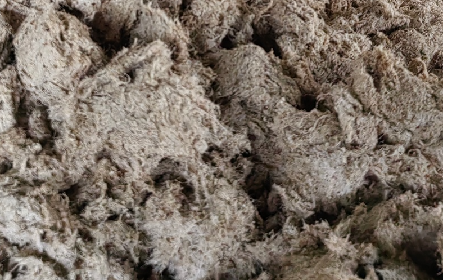 深入大洪山，只為一口純凈 -二月風今冬野生葛根收購紀實